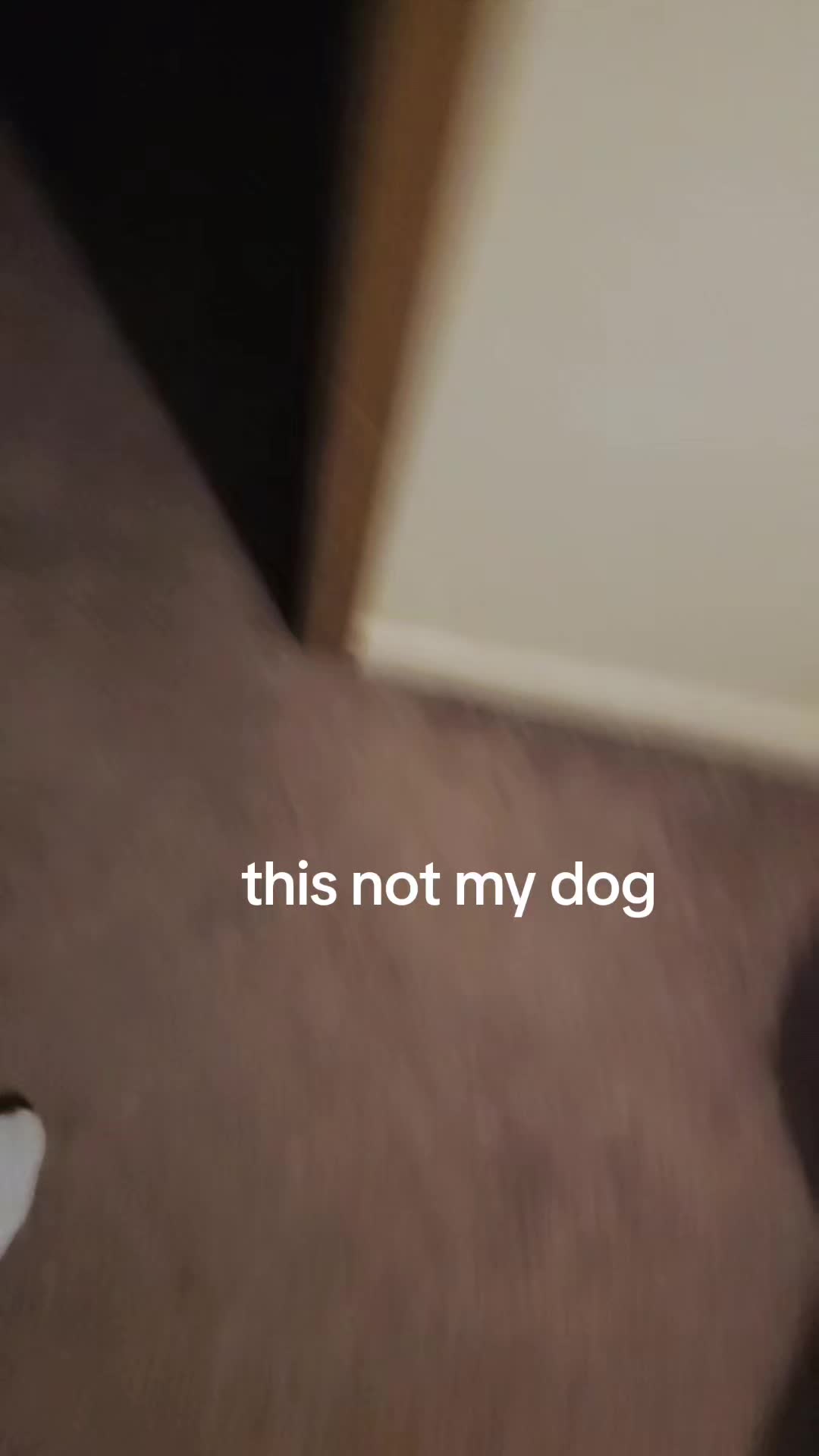 @Nikko Starr