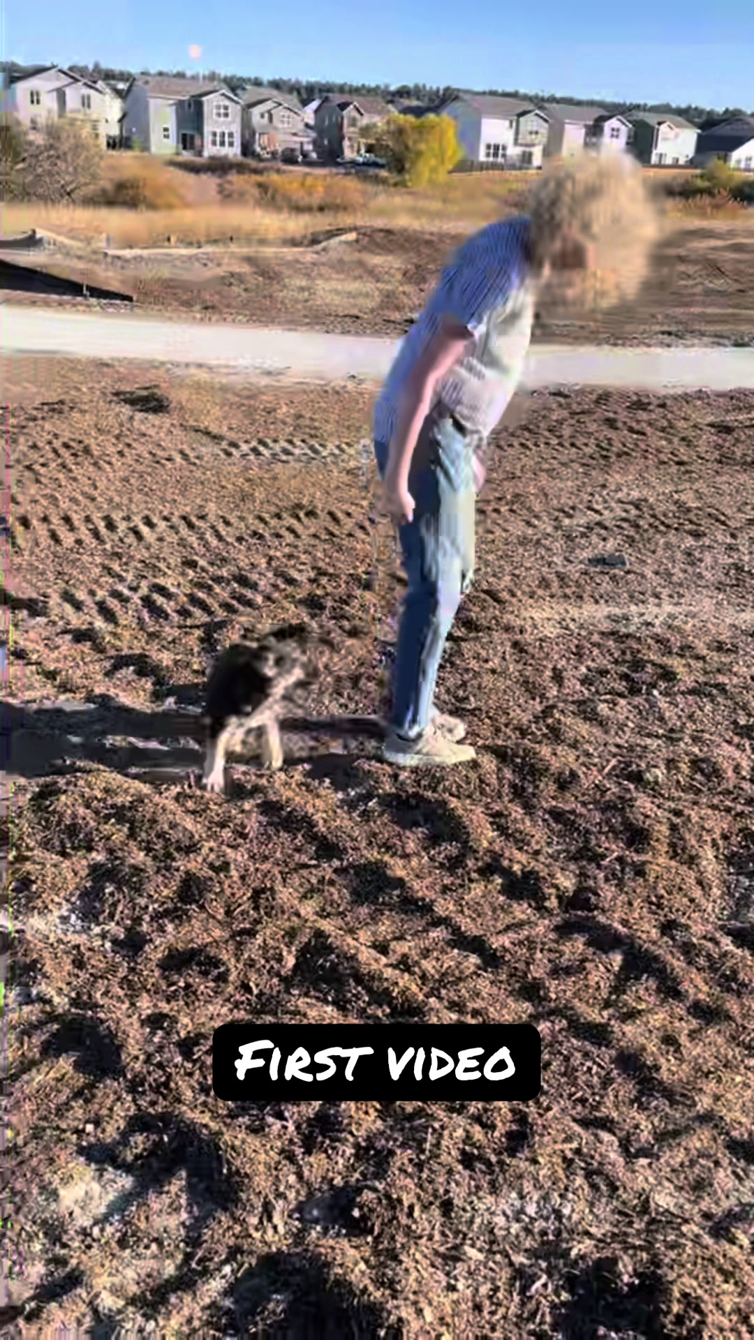 @duchesstheworkingdog