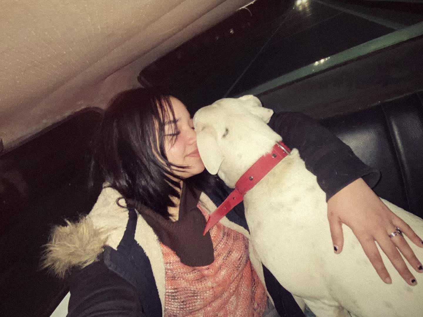 @Tiny Cherry