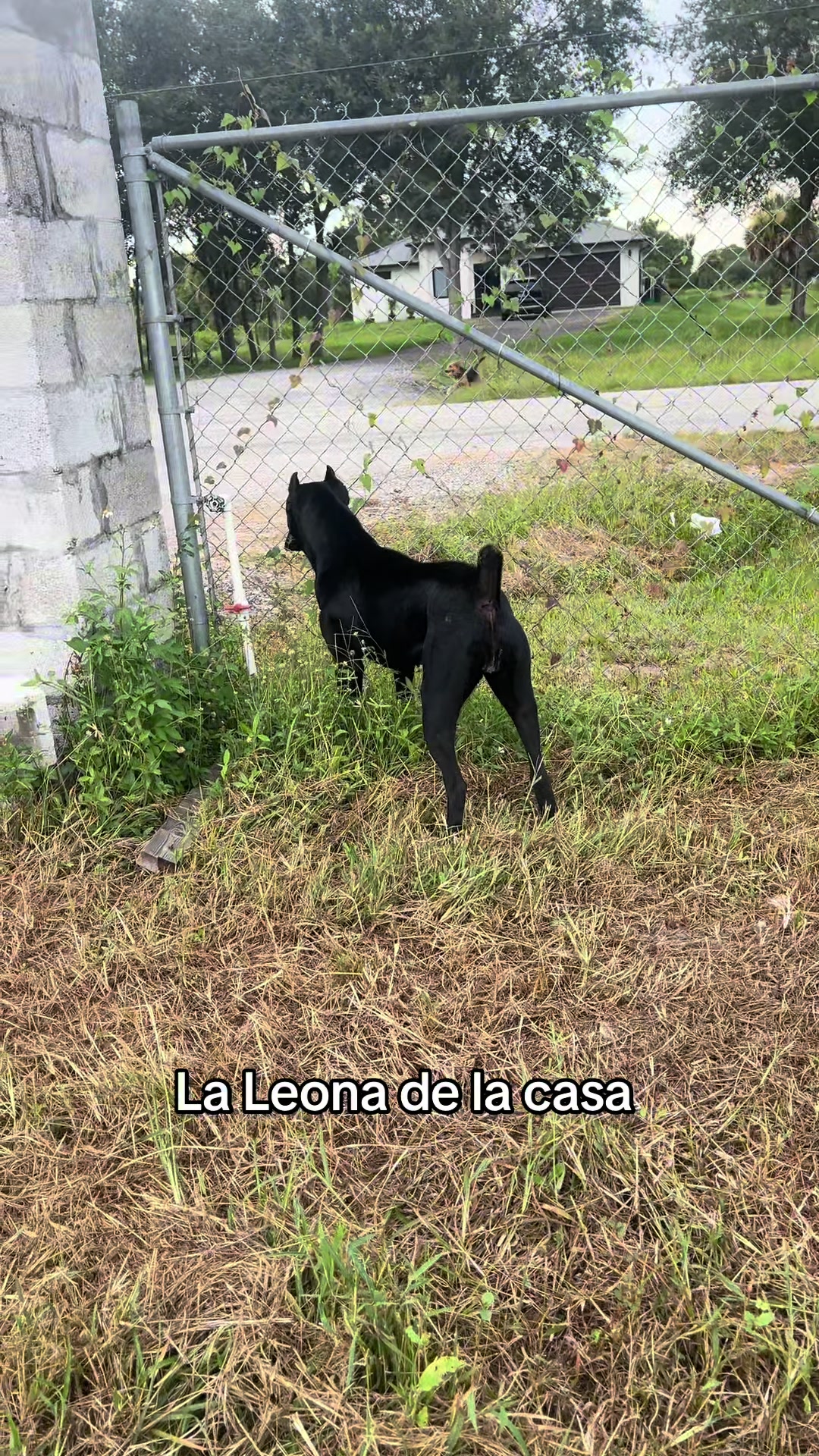 @𝐄ᥣ𝗂ƶαᑲ𝖾𝗍ɦ 𝐀ᥣ𝗏α𝗋𝖾ƶ