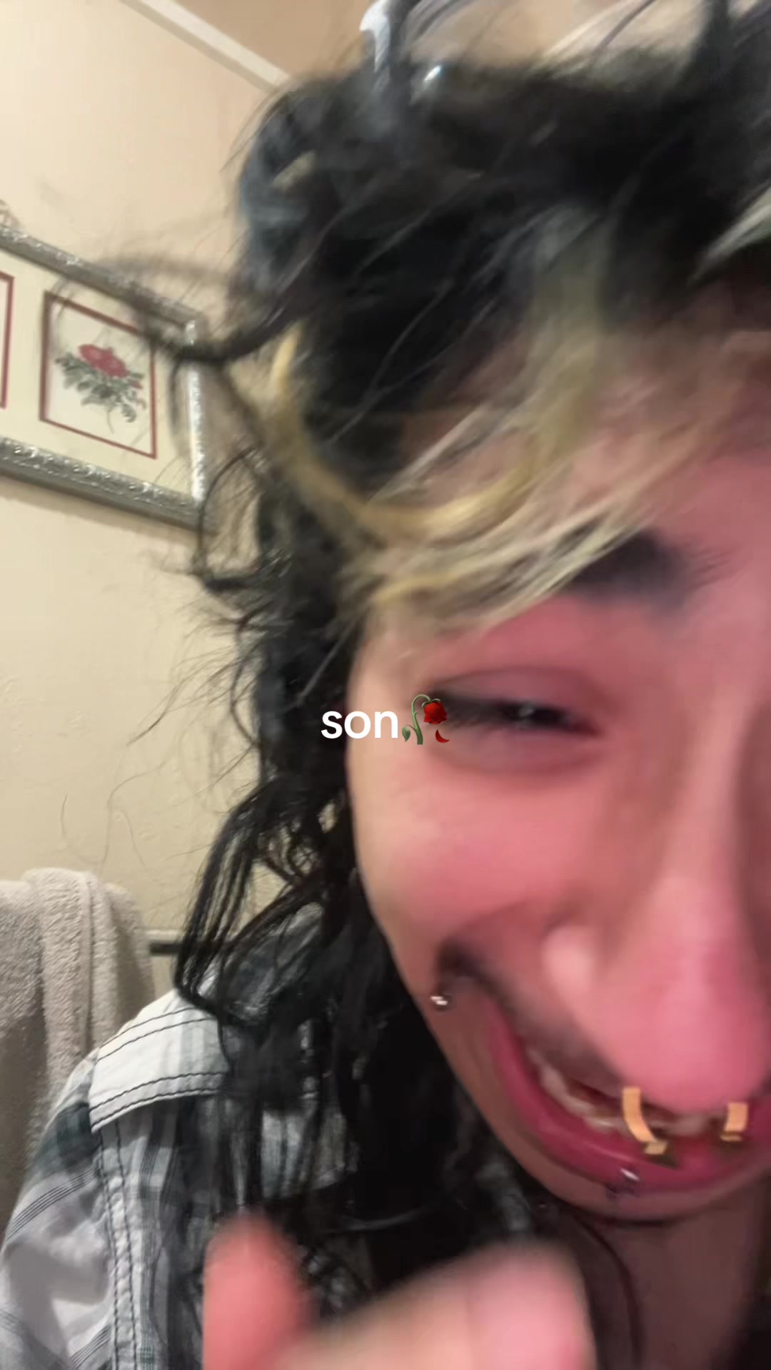 @anselll