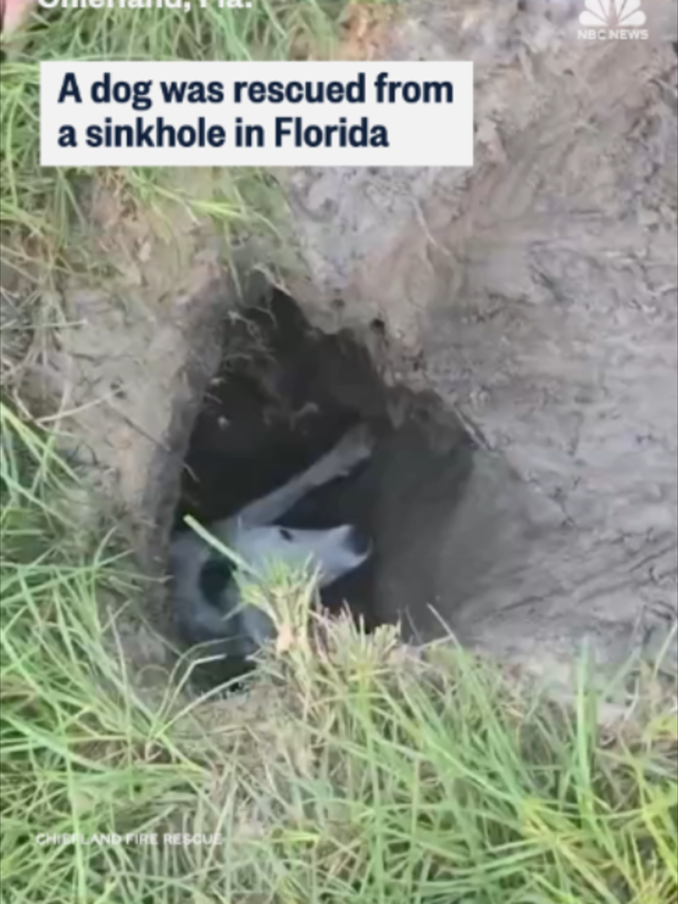 @nbcnews