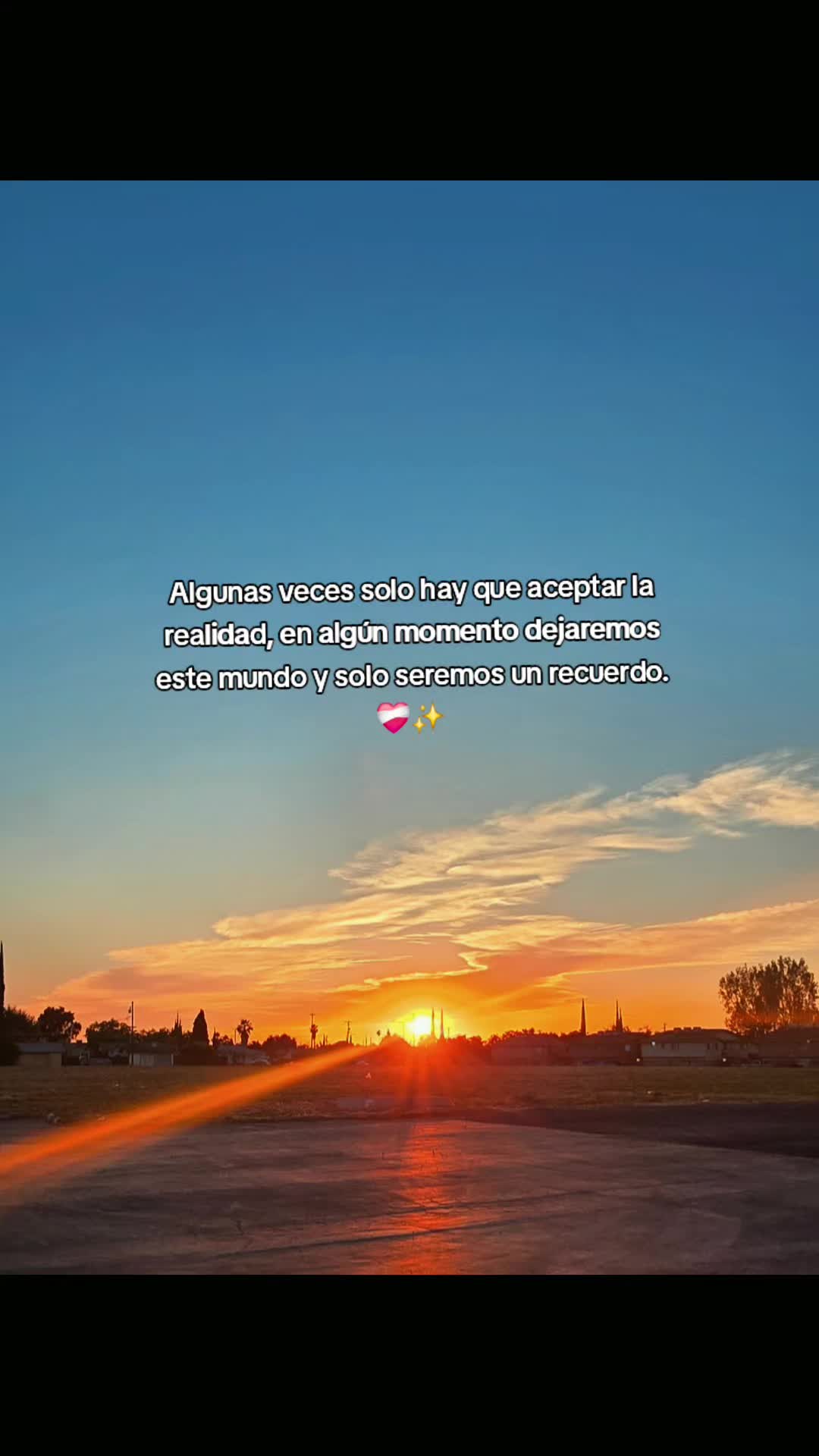 @🖤🦋FER_BRIZZO🥀☀︎︎☽︎