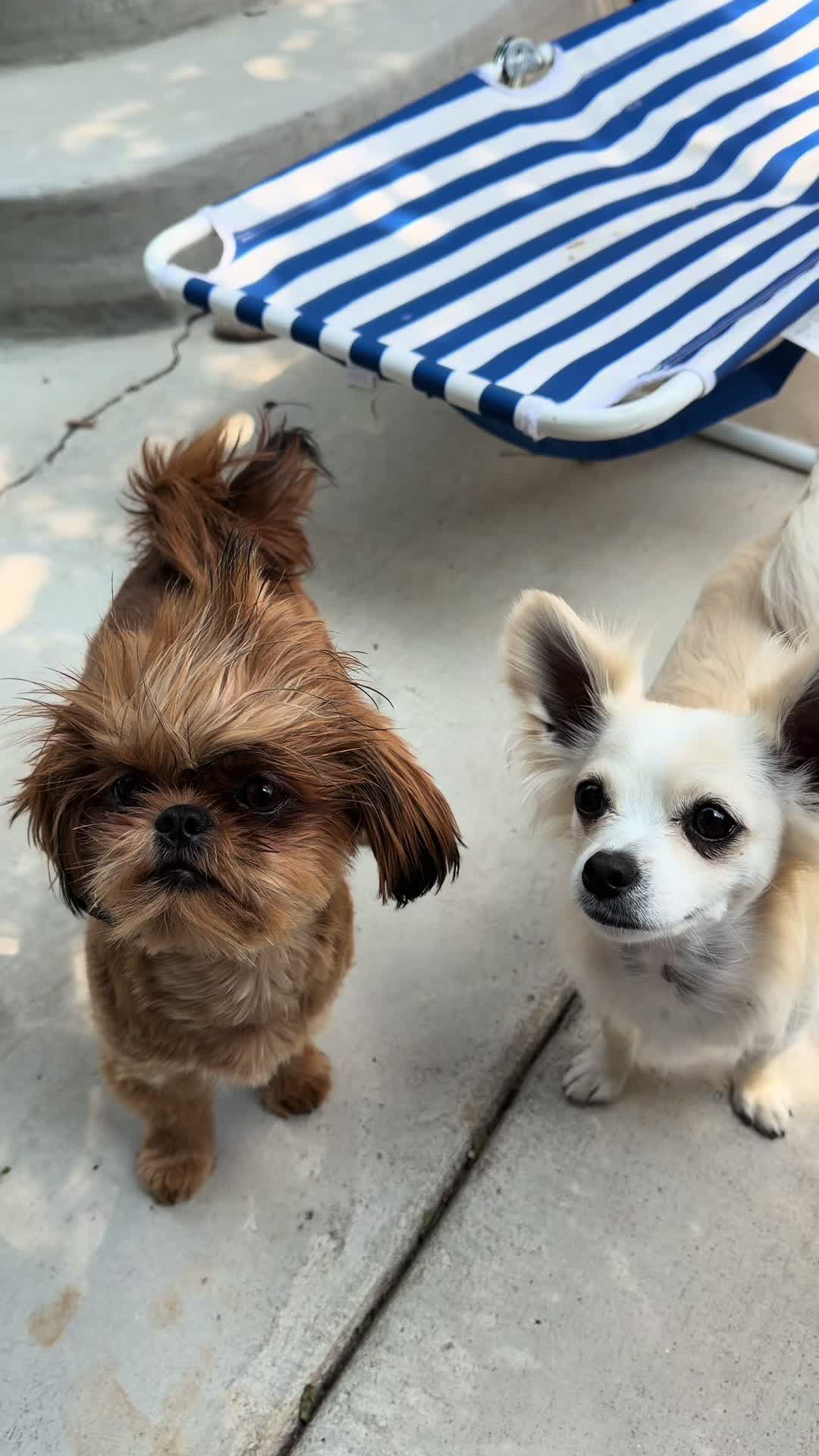 @LittleBear