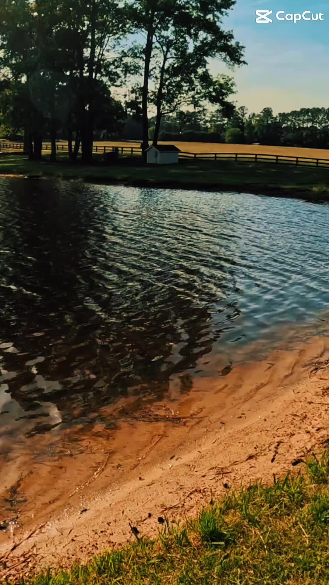 @DREWW🎣