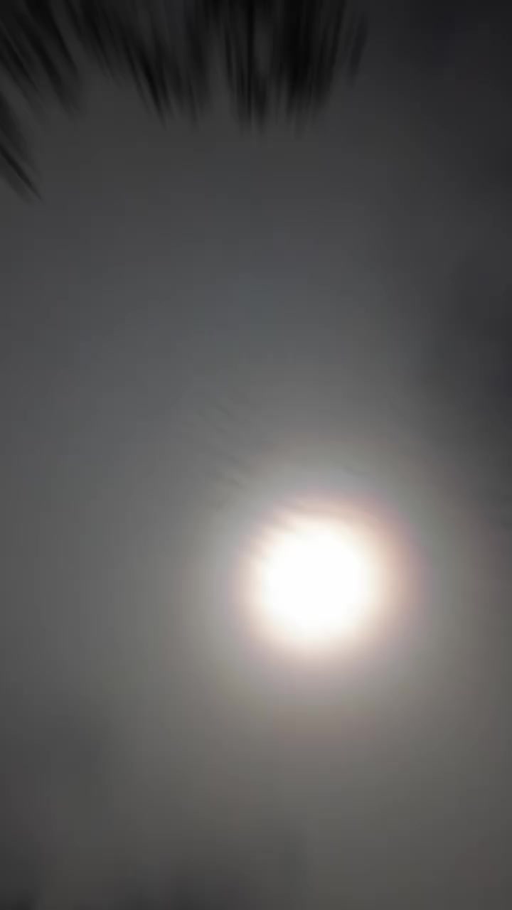 @Senovio Senovio