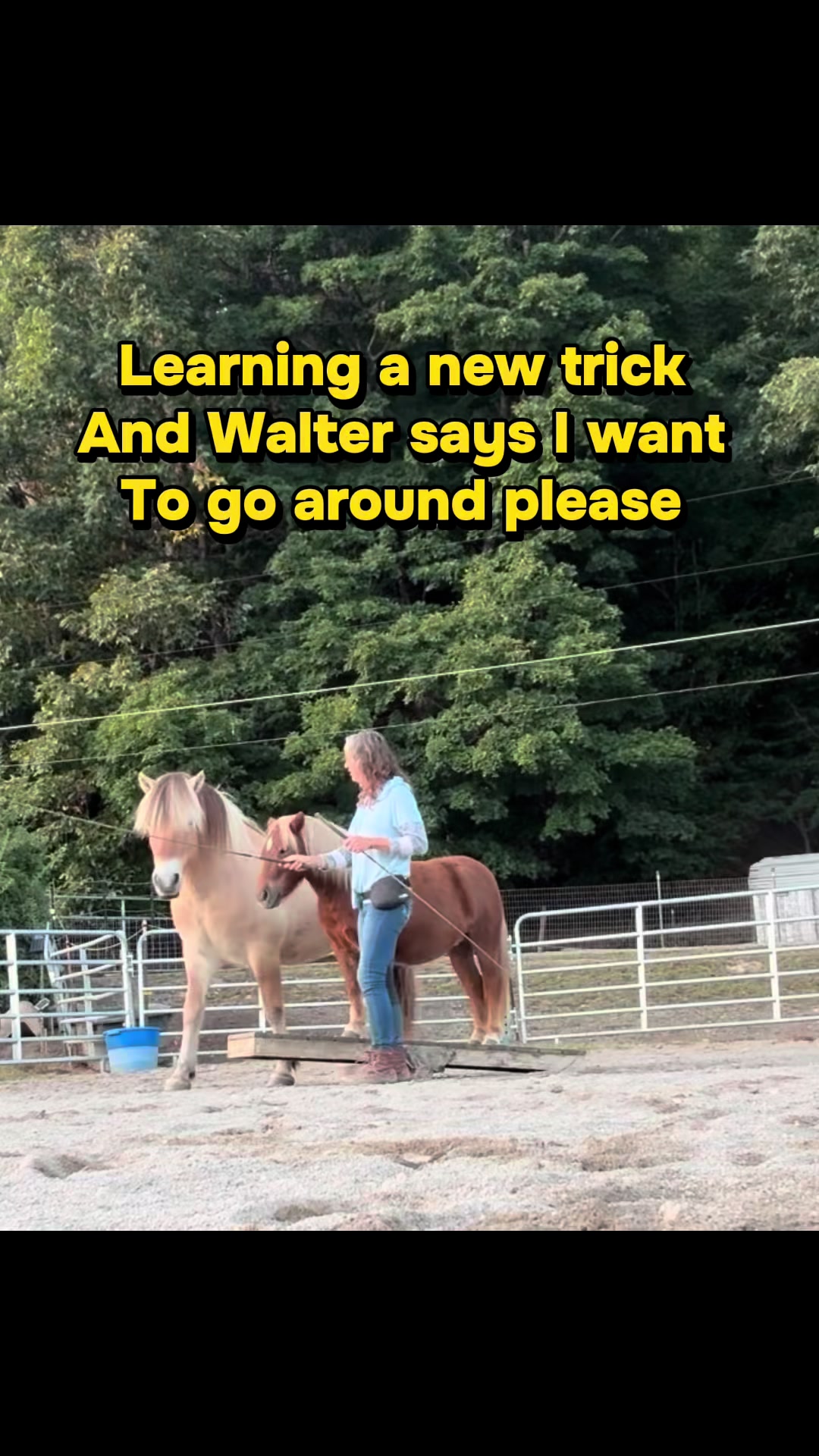 @Janet..Fuzzy.farm.gang