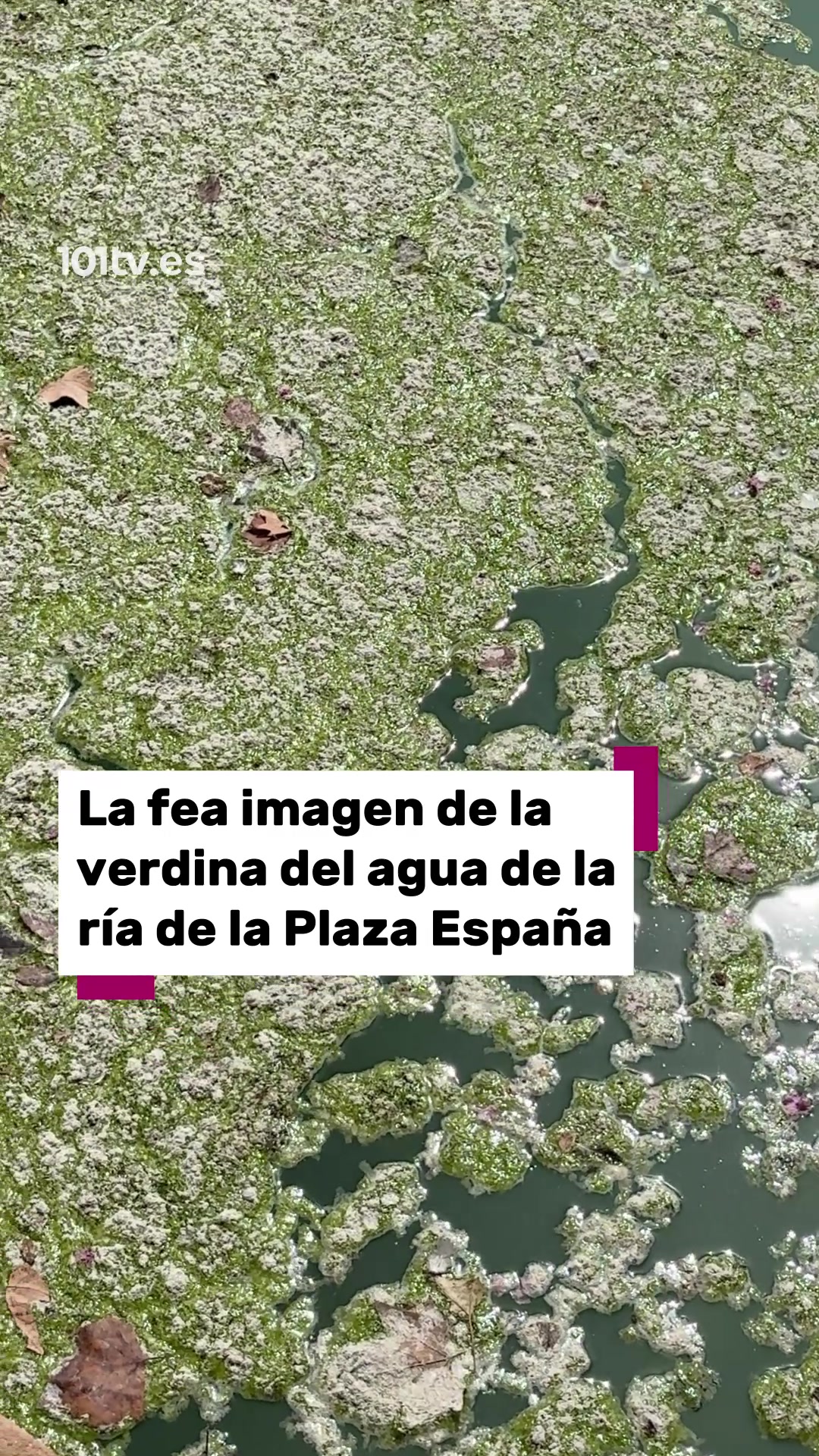 @101tv.es Sevilla