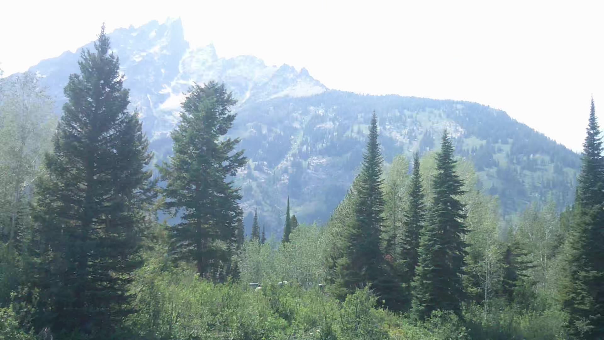 @sierra 𖣂