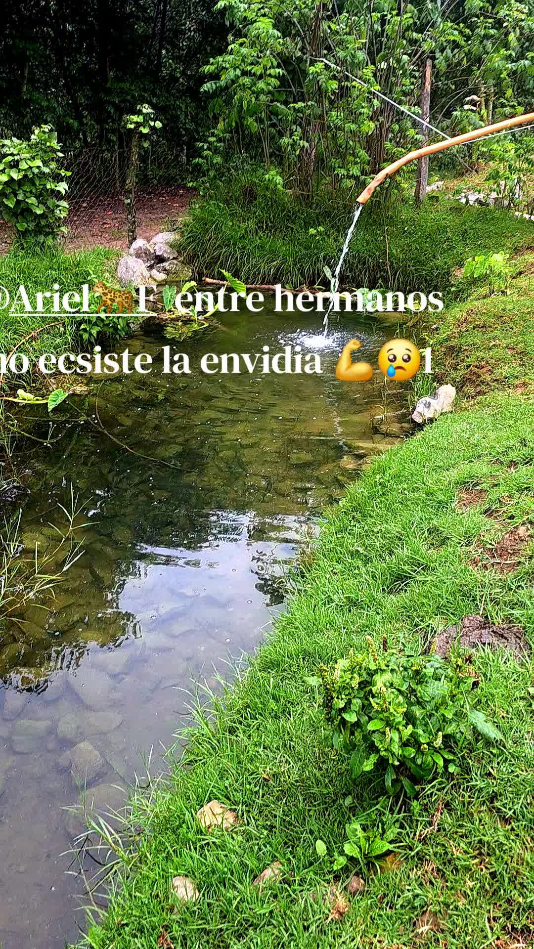 @sebas martin3033