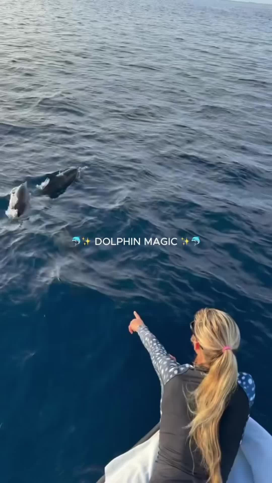 @Ocean Ramsey Sharks