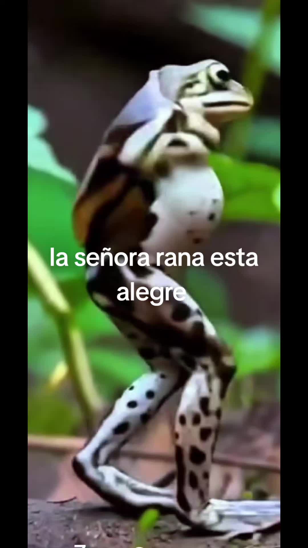 @🌴🌴🌴🩸💎 Habibi Dios es amor