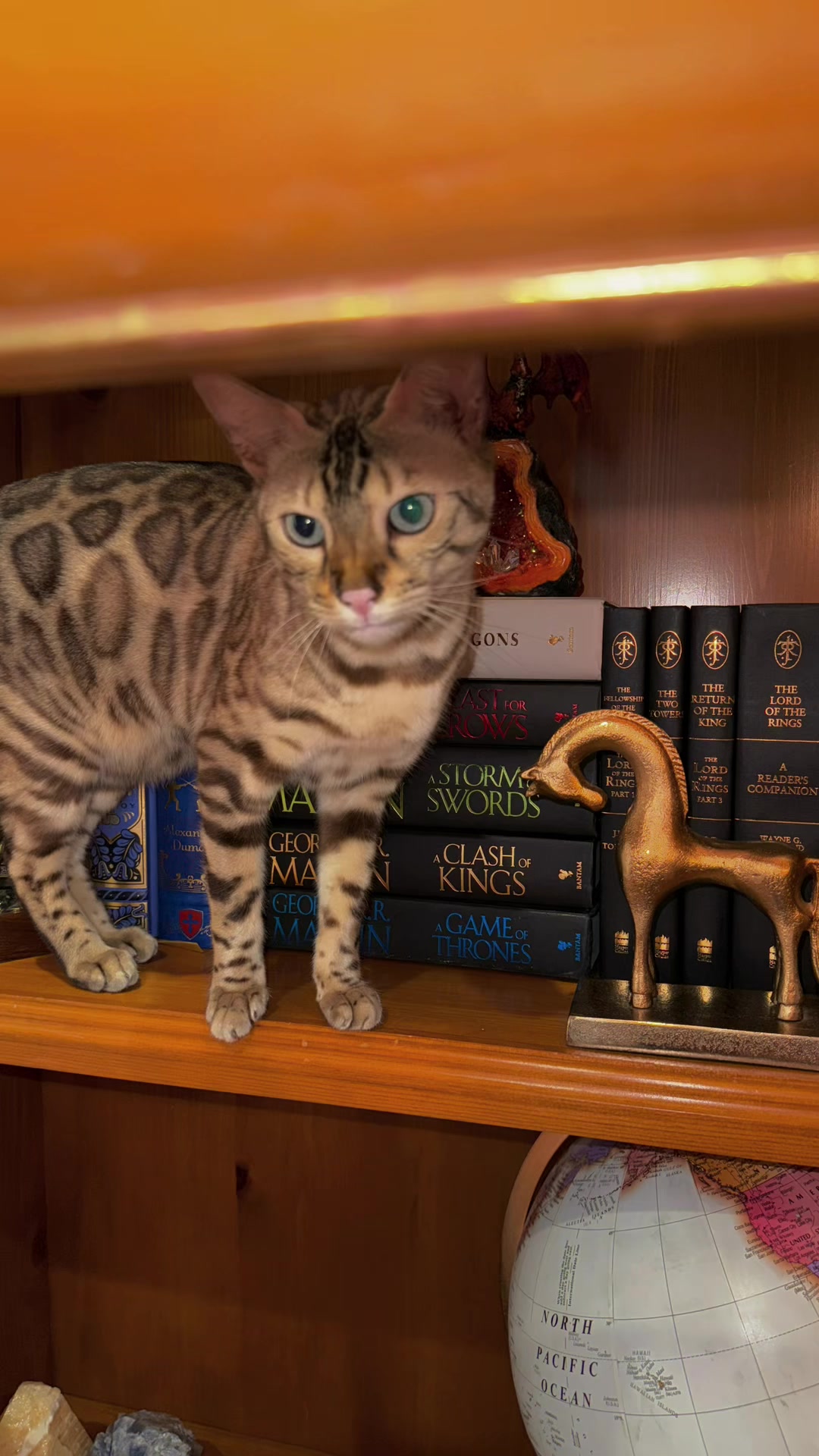 @book wizard