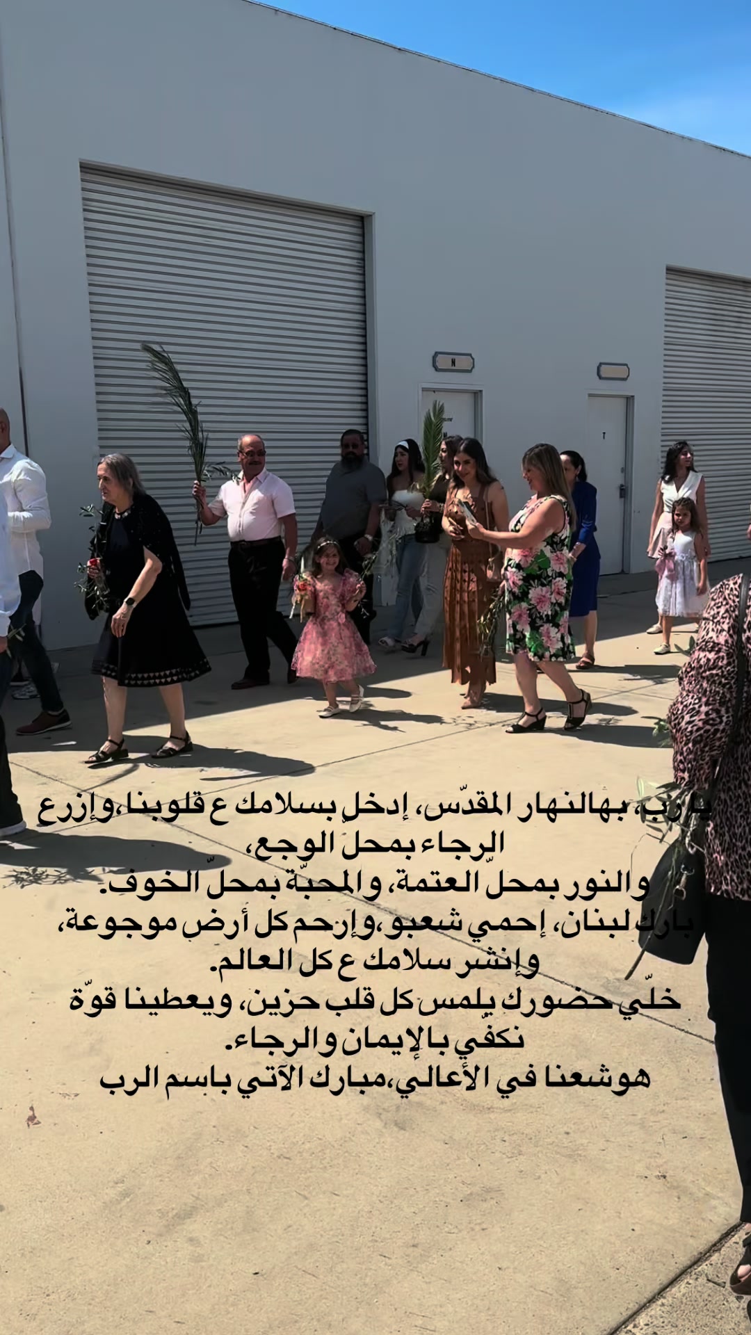 @Randa Zarka | 🌹رندة