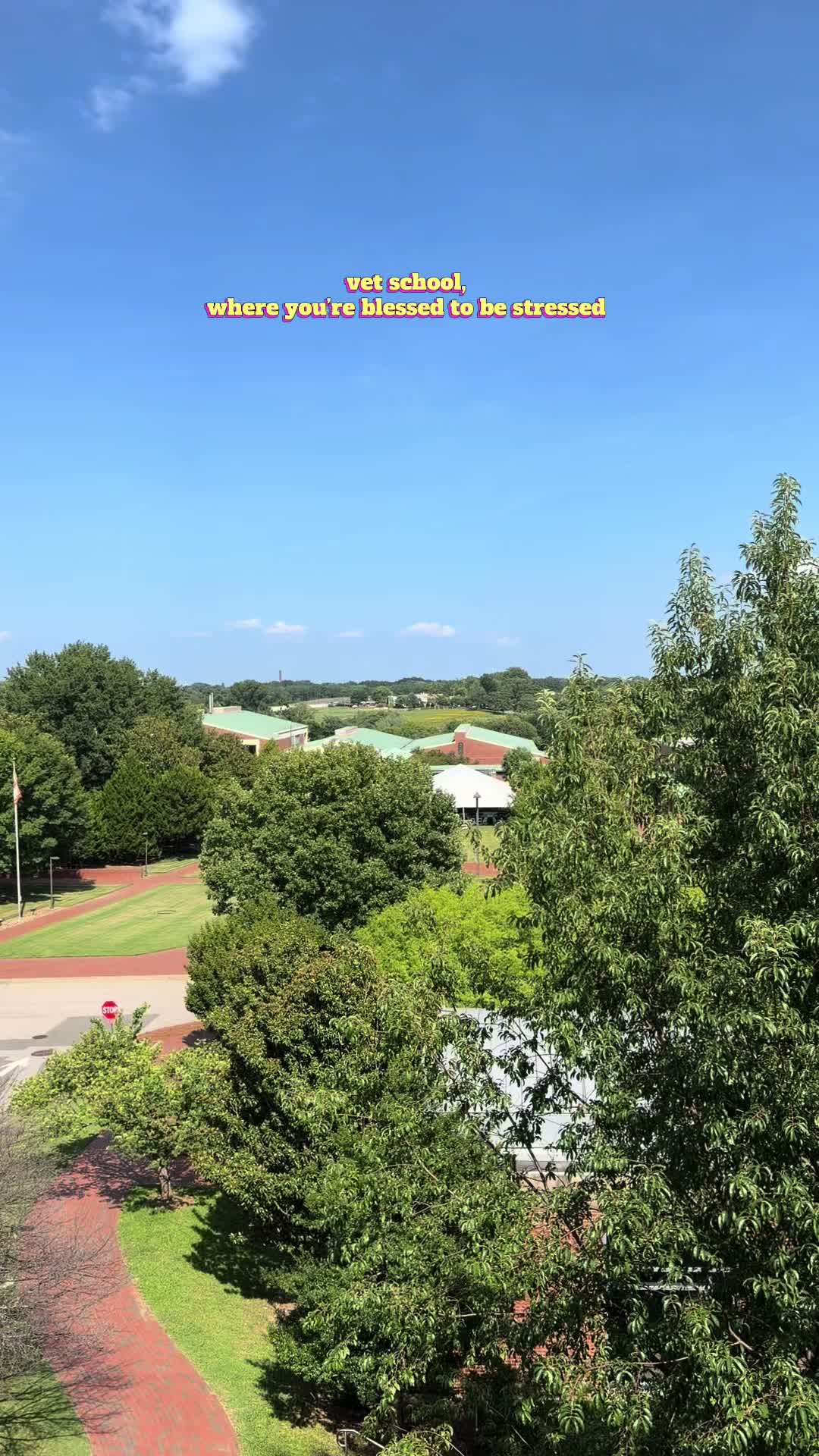 @heyamigainvetschool