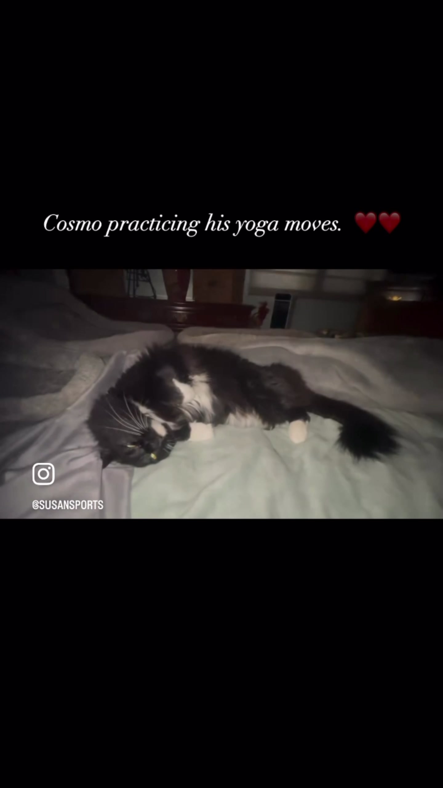 @Susan