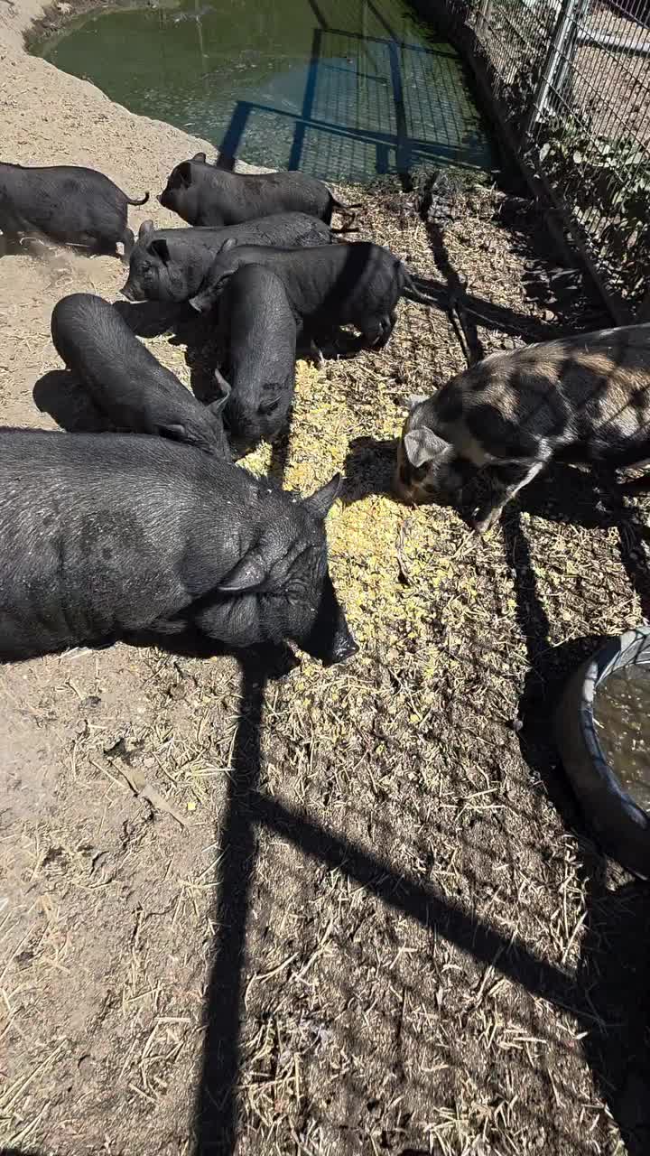 @Buster's Barn
