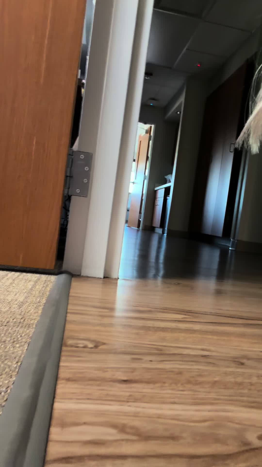 @billie
