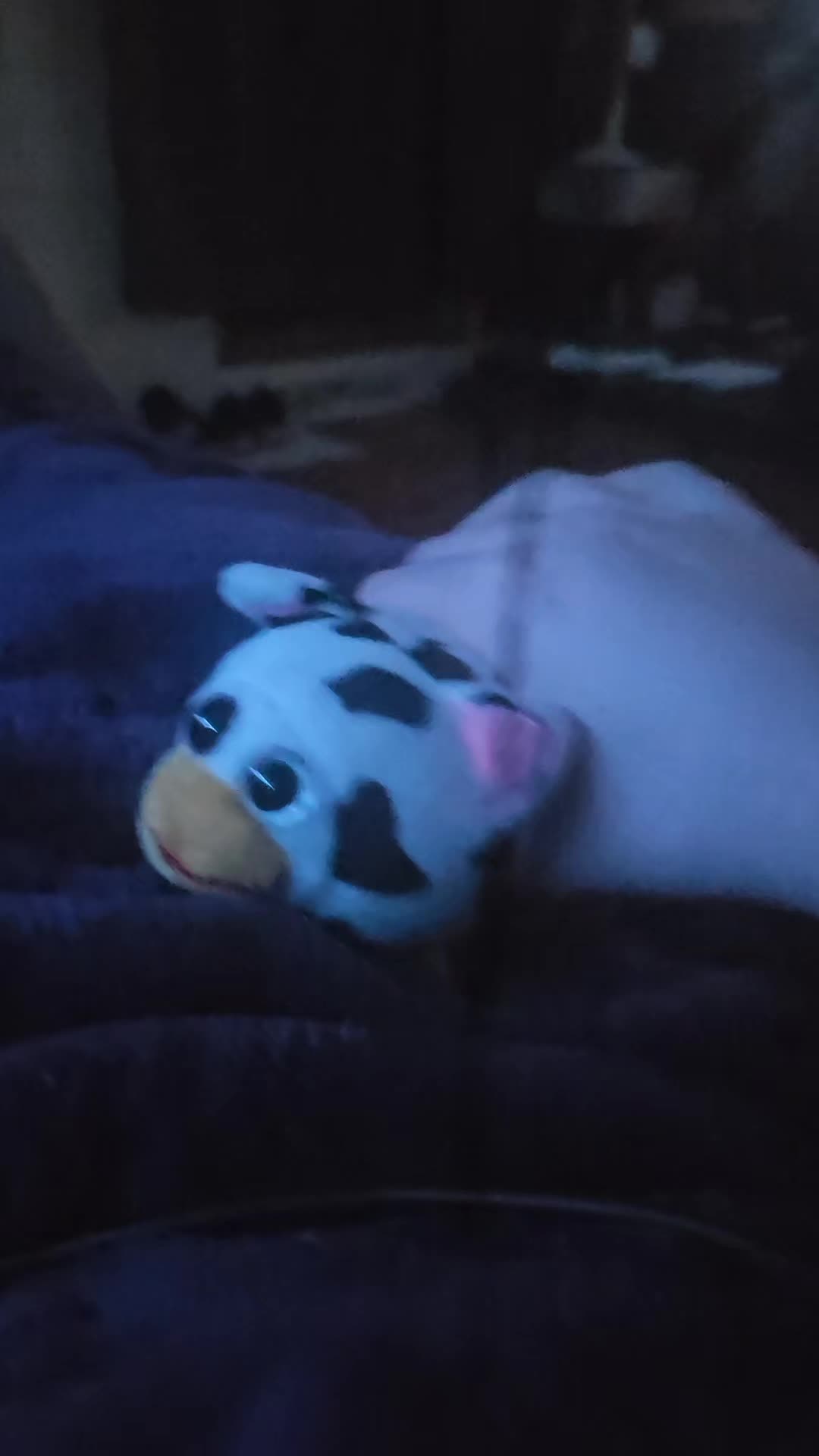 @chickmo's channel official