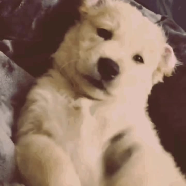 @✿