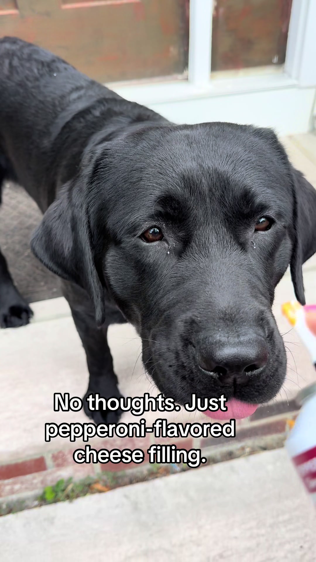 @DennisTheBlackLab