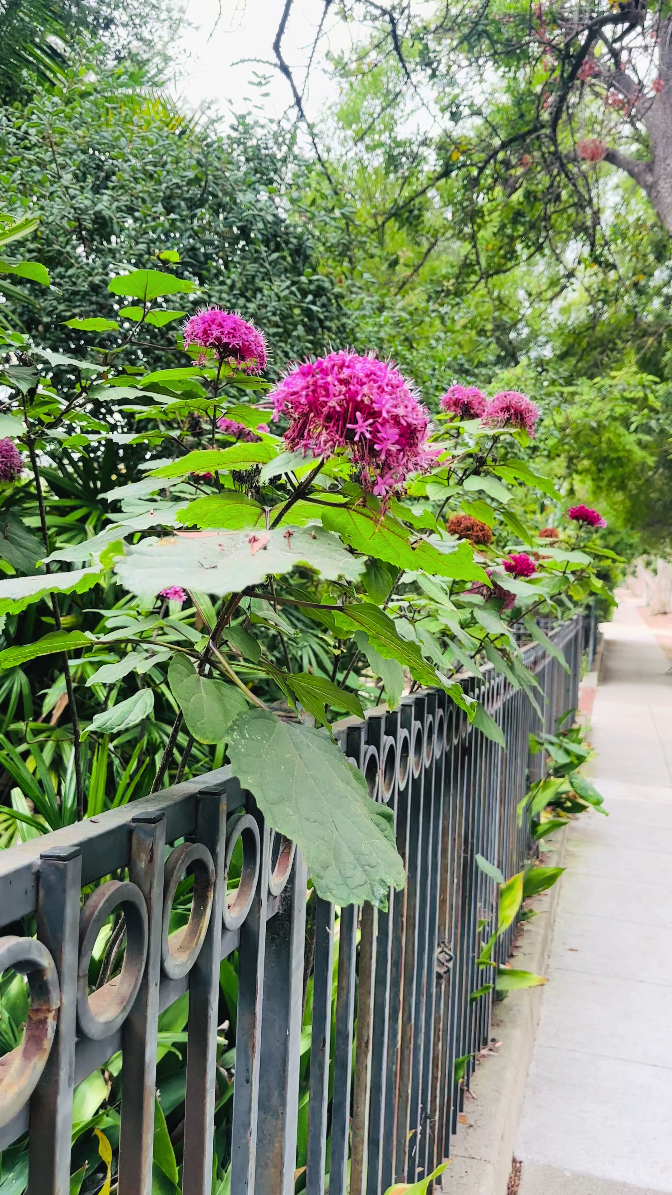 @The Lost Gardens