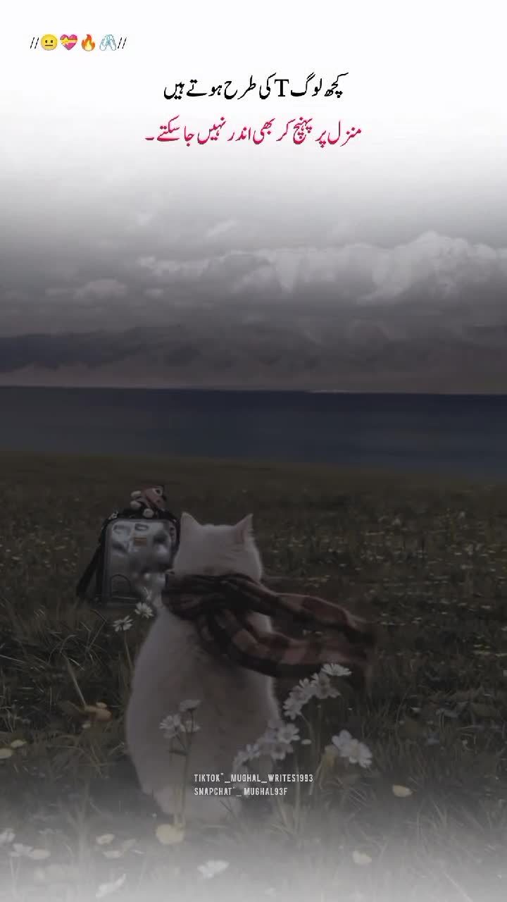 @【𝐌𝐮𝐠𝐡𝐚𝐥 𝐖𝐫𝐢𝐭𝐞𝐬】