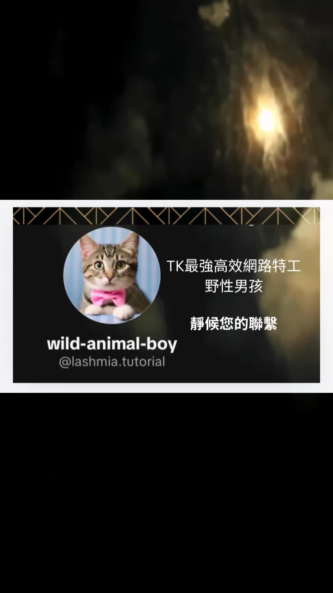 @🌙驚鴻✨