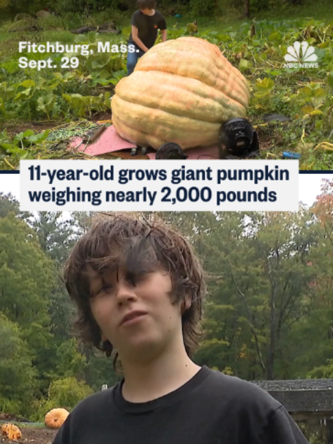 @nbcnews