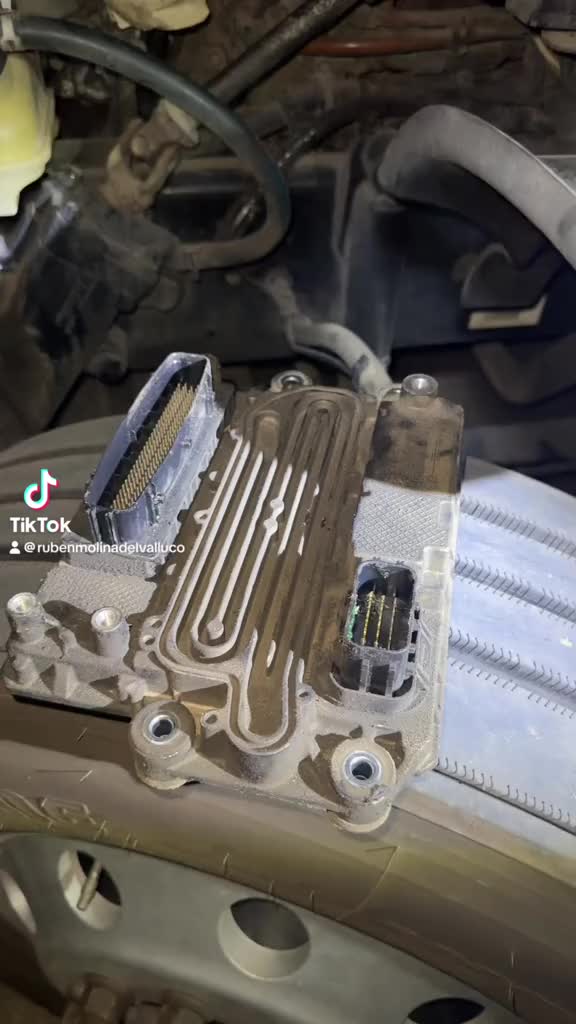 @Mechanic Rub&eacute;n Molina