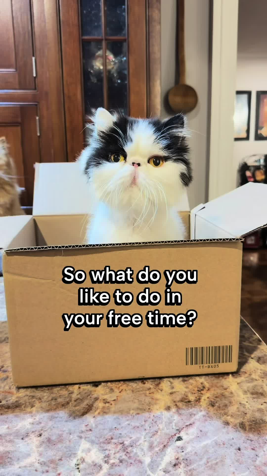 @Walter Bishop The Cat