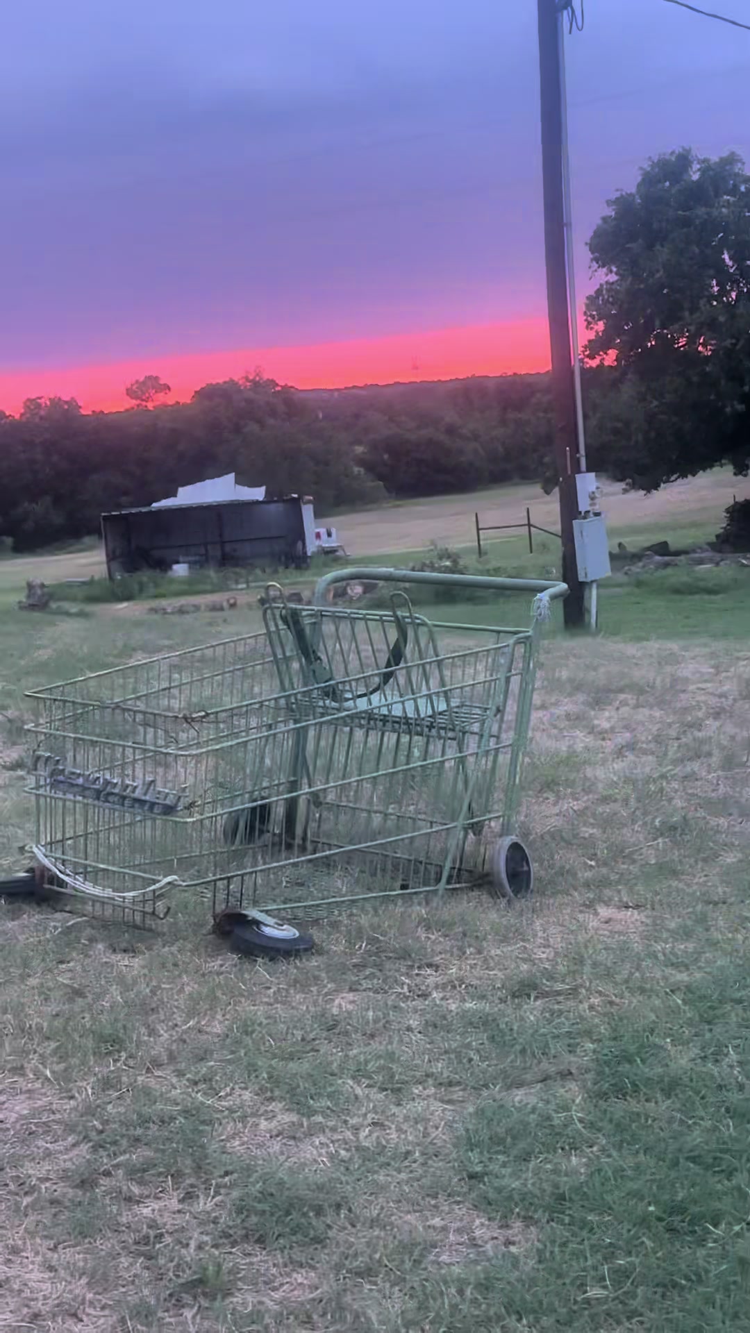 @that.pimp_cart09