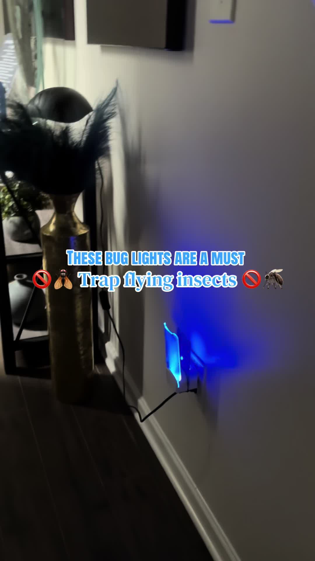 @Coiya | HOME | LIFESTYLE | TTS