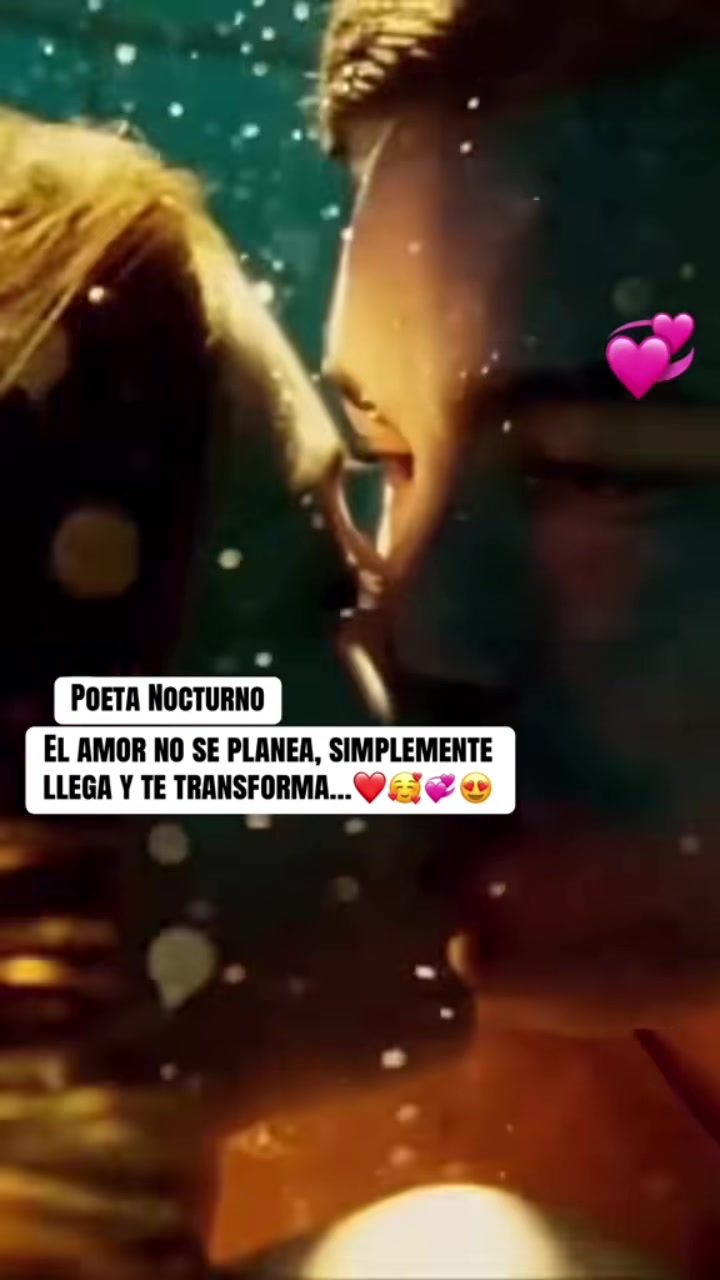 @Poeta Nocturno 503