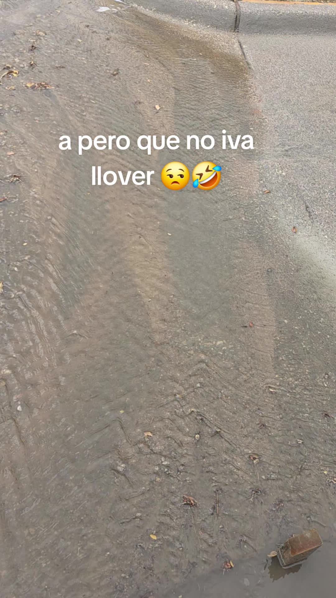 @jose🤠