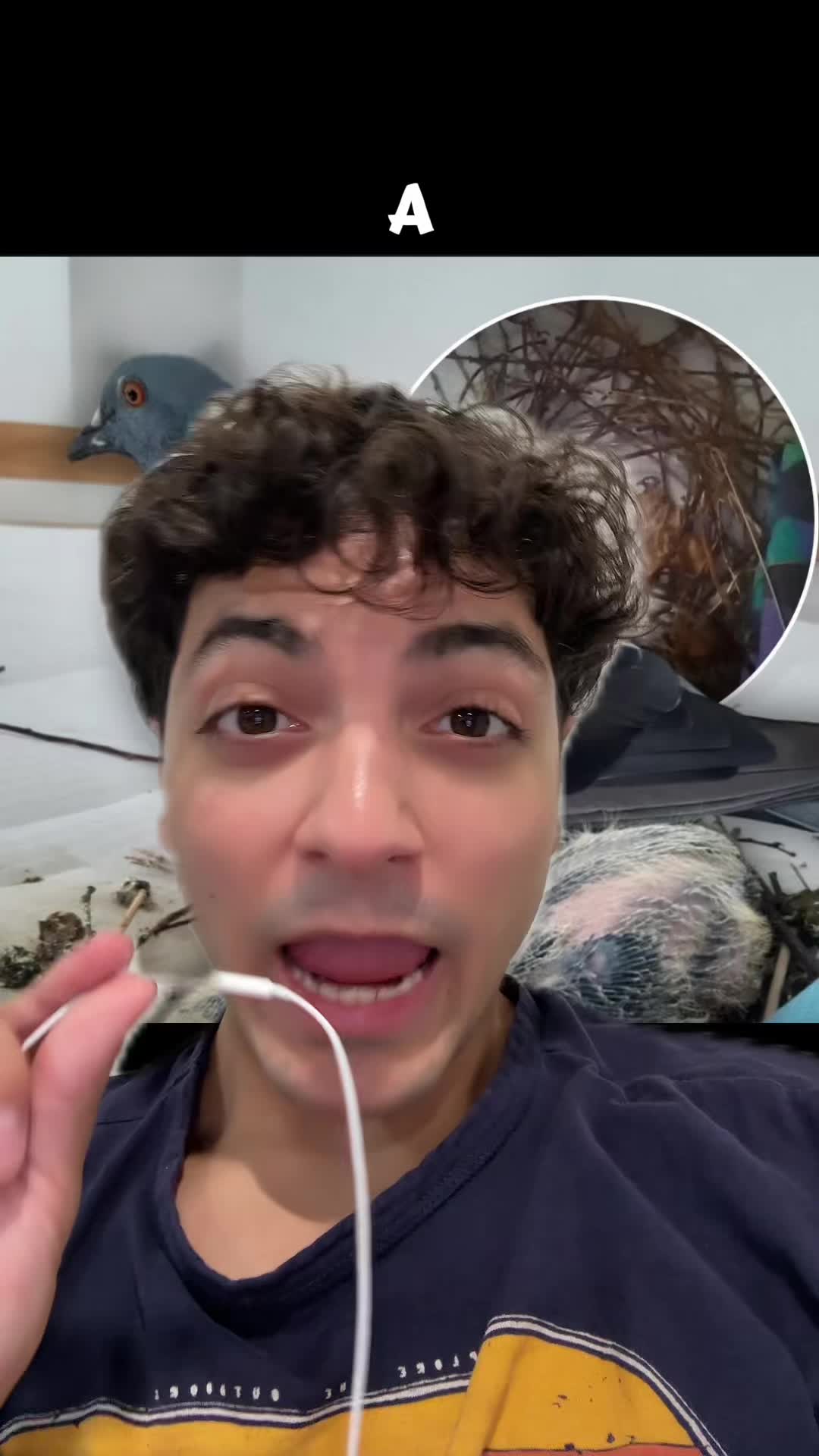 @Sbladn