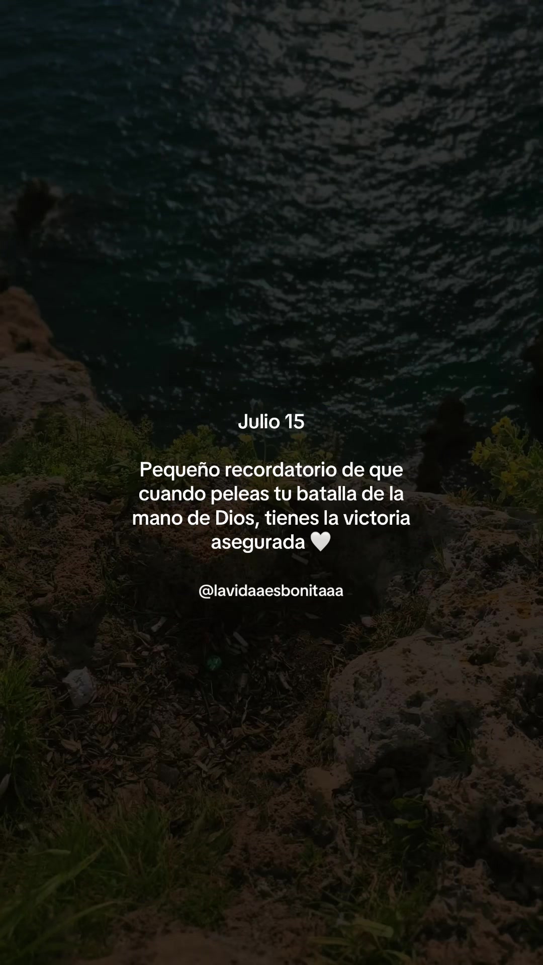 @vidabonita❤️🩹