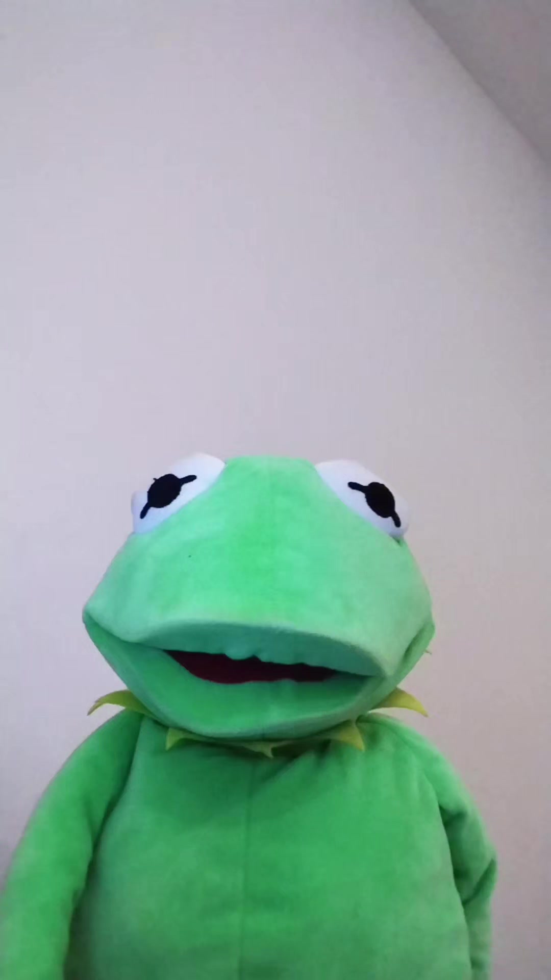 @Kermit The Frog Tiktok