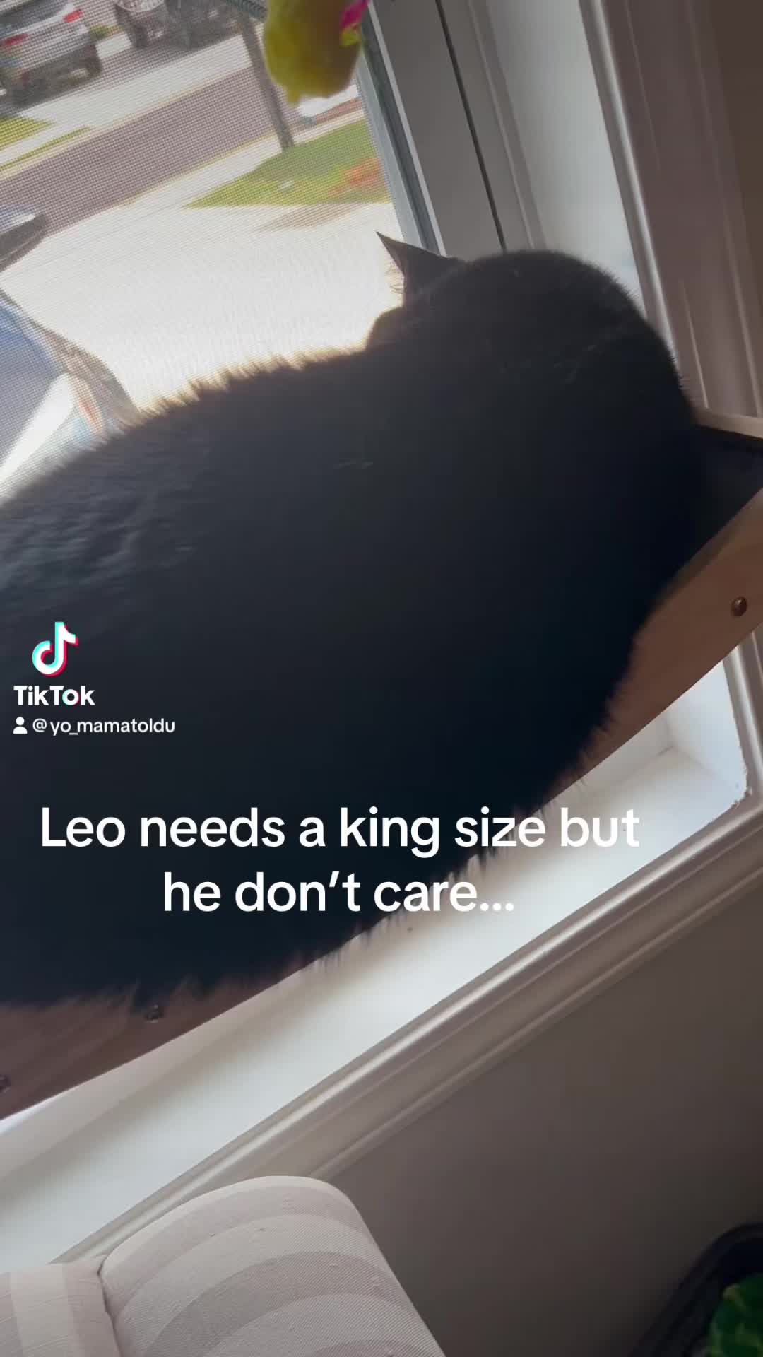@Obi