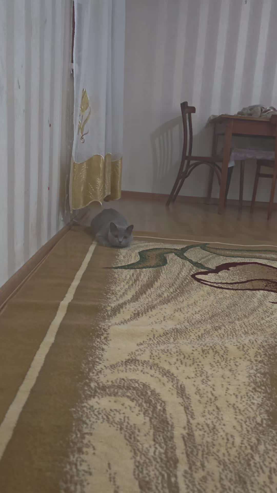 @๐ฐ๐๐ฐ๐ ฤฐ๐๐ถฦ๐ฝ๐ณฦ๐๐ปฤฐ