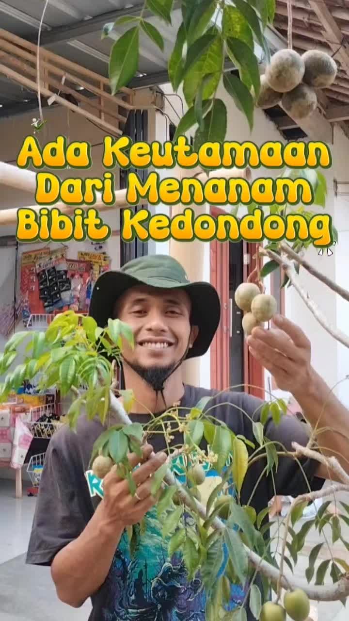 @Bukit Farming