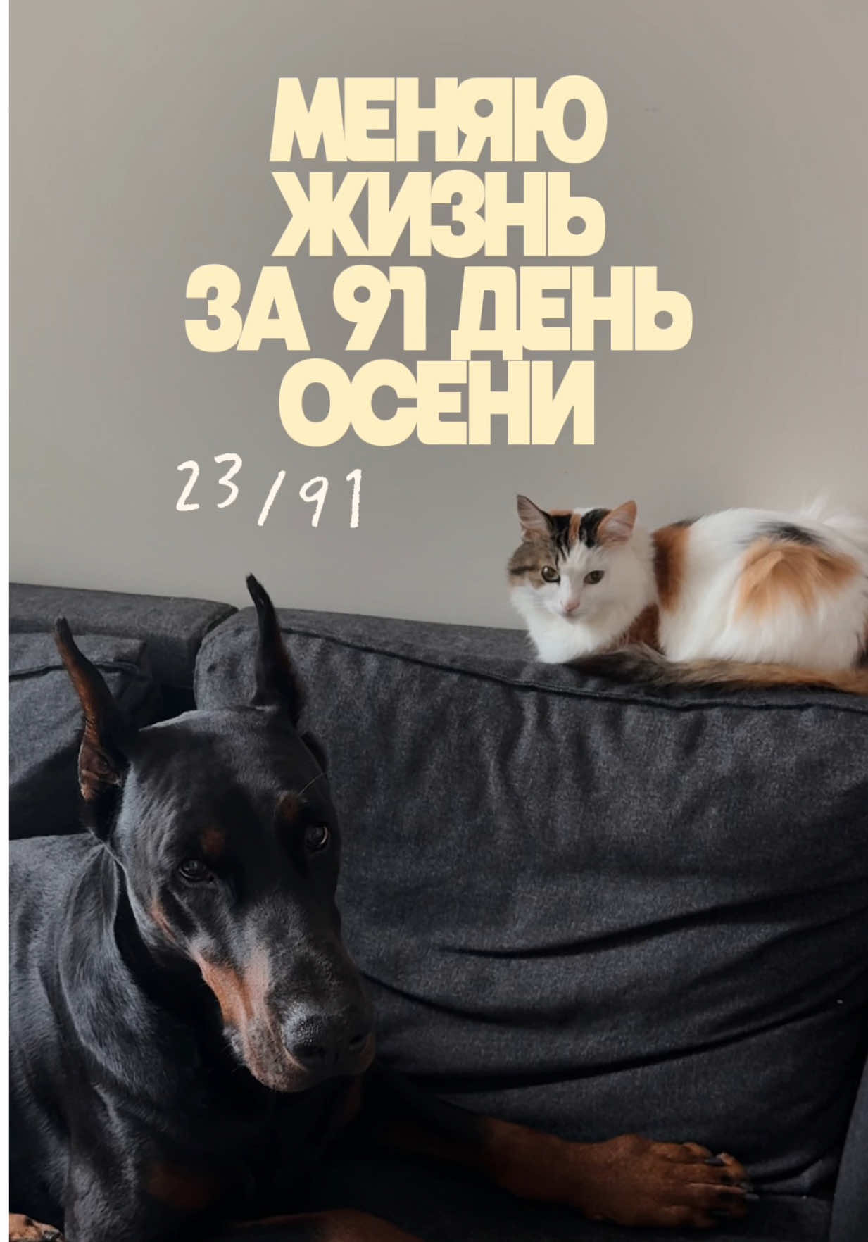 @Дари Доберс