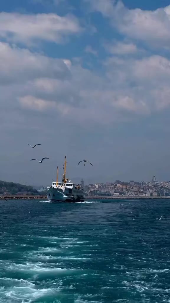 @imdat doğan