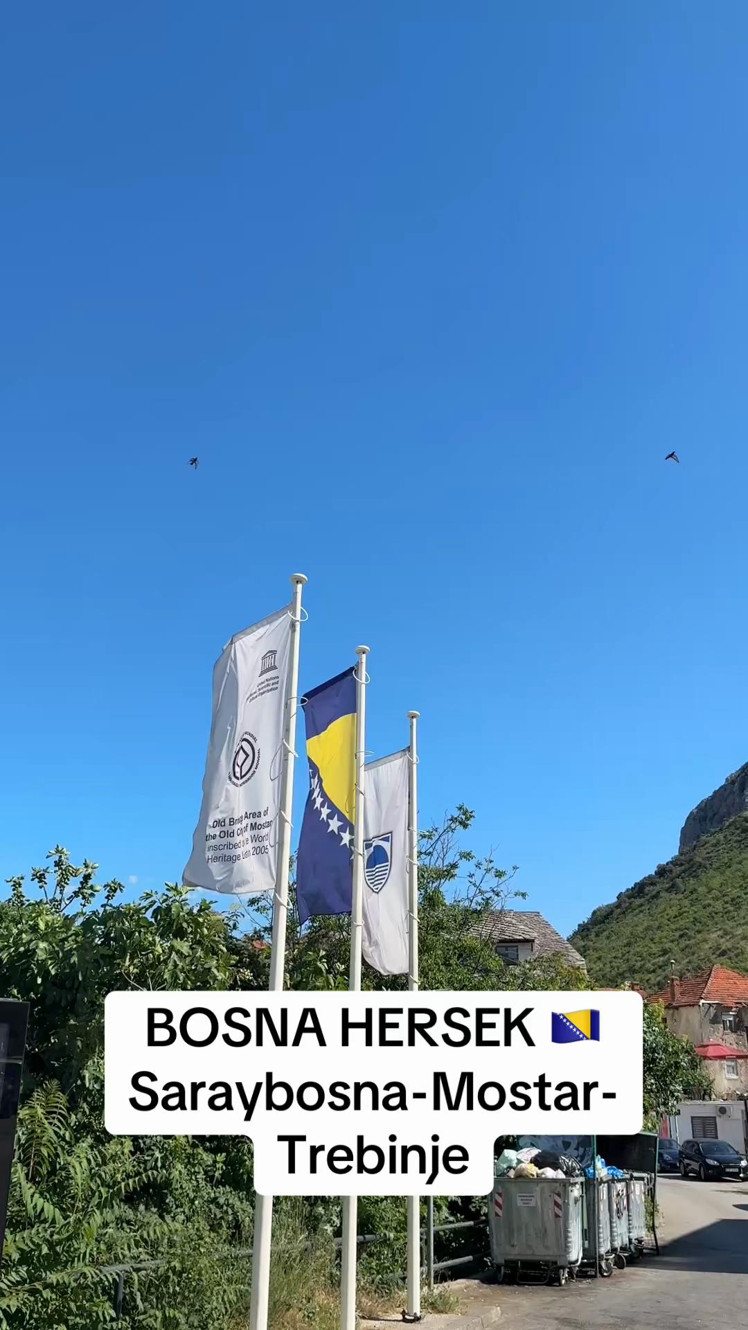 @Sena