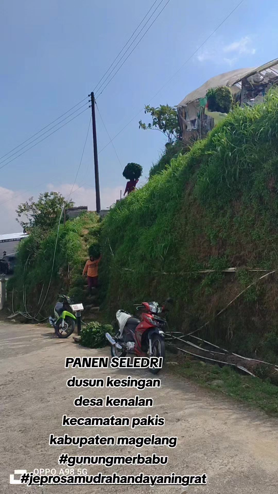 @JEPRO SAMUDRA