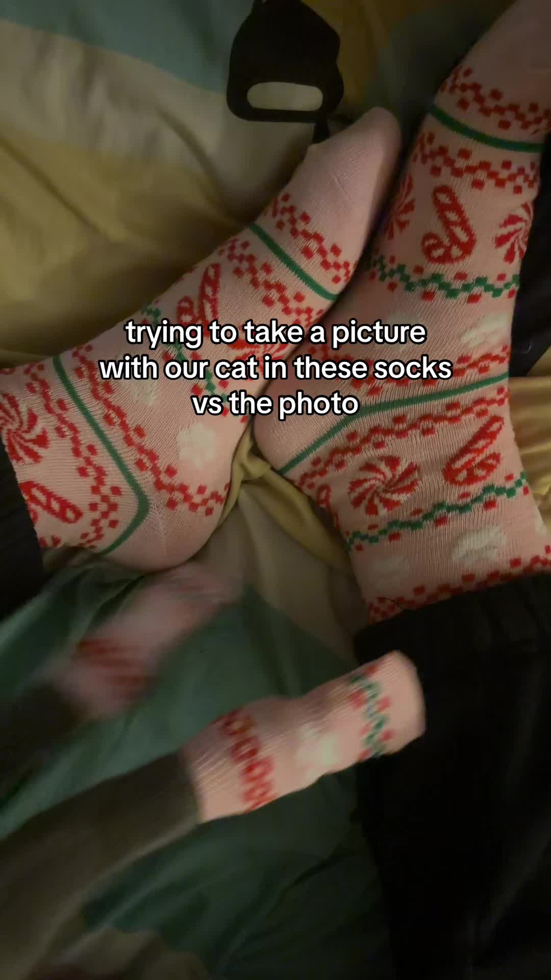 @mimi !