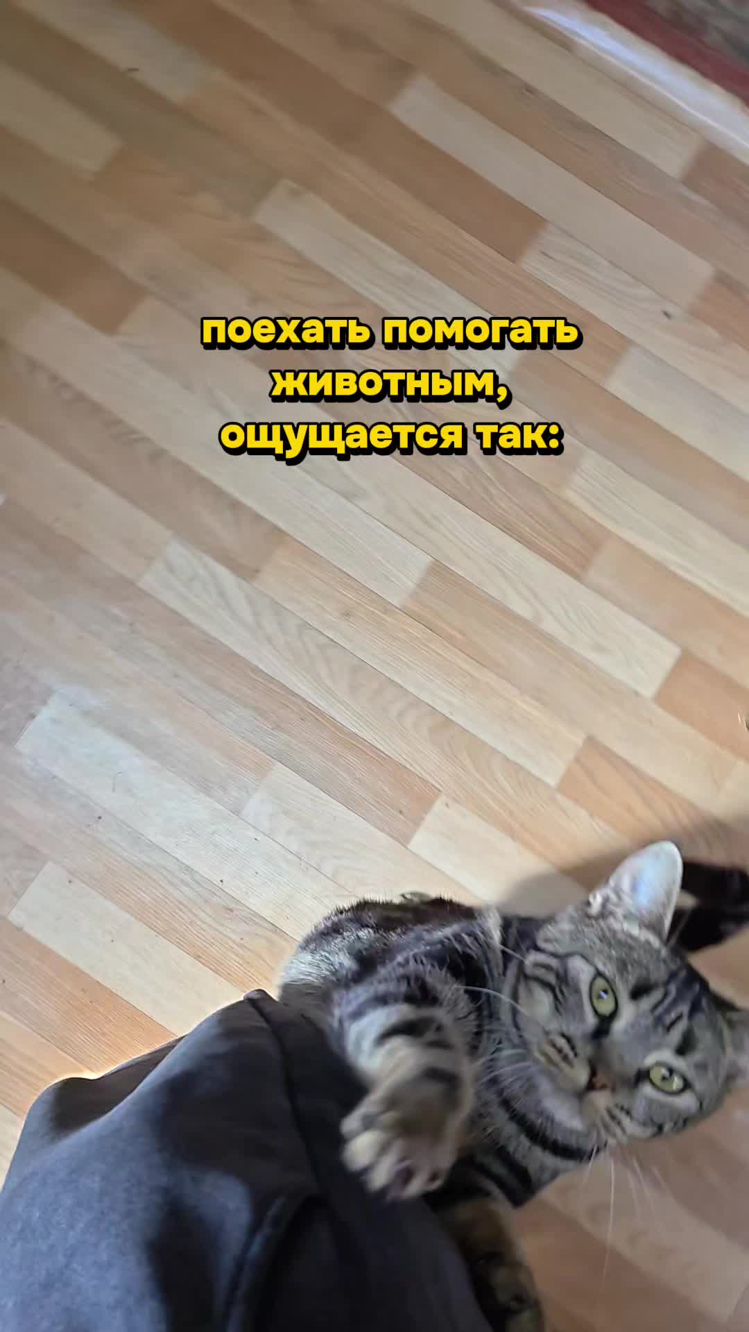 @Lana / тгк:Lanaastudy.