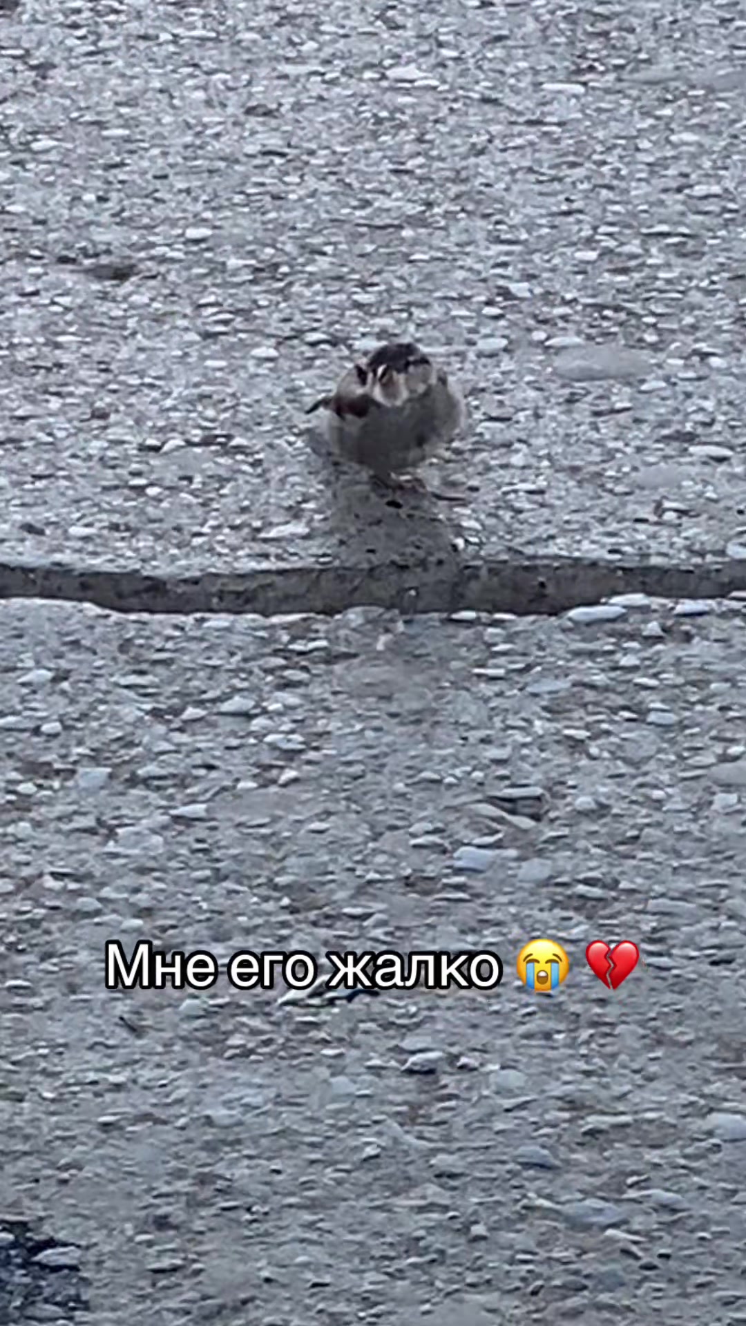 @меланхолия