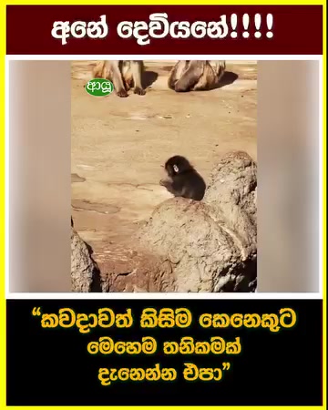 @ᴹᴿD⃠සෙනුවᎧᎮ D⃠᭄