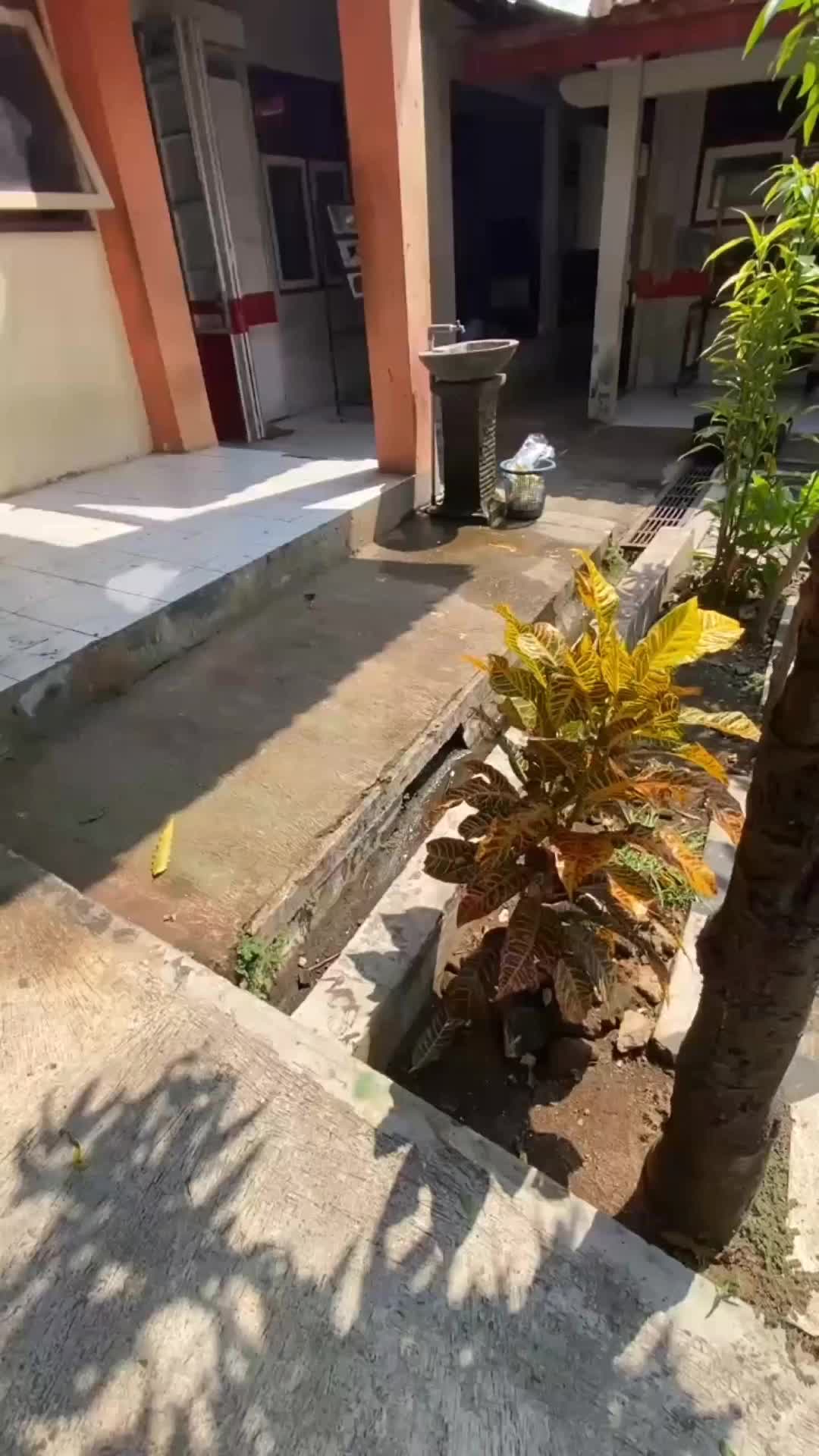 @laptt